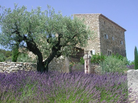 Mas Luberon in Provence
