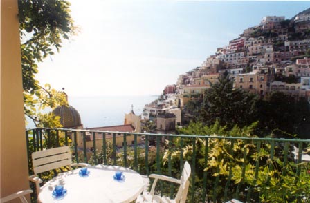 Mimosa in Southern Italy